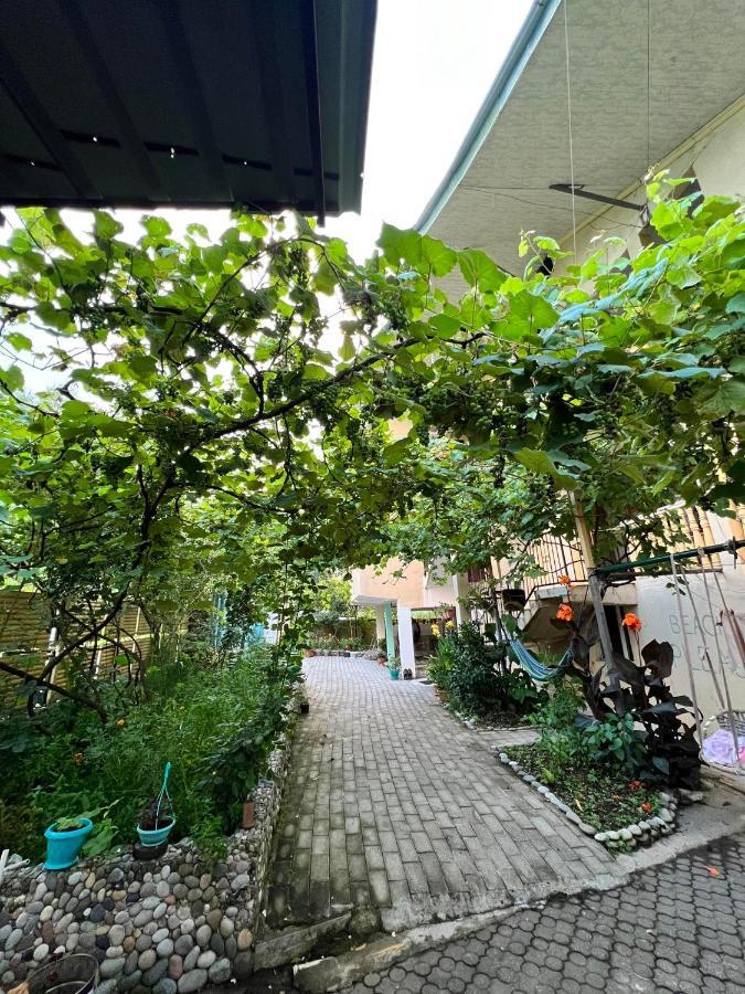 Guest House Mari Ureki Zewnętrze zdjęcie