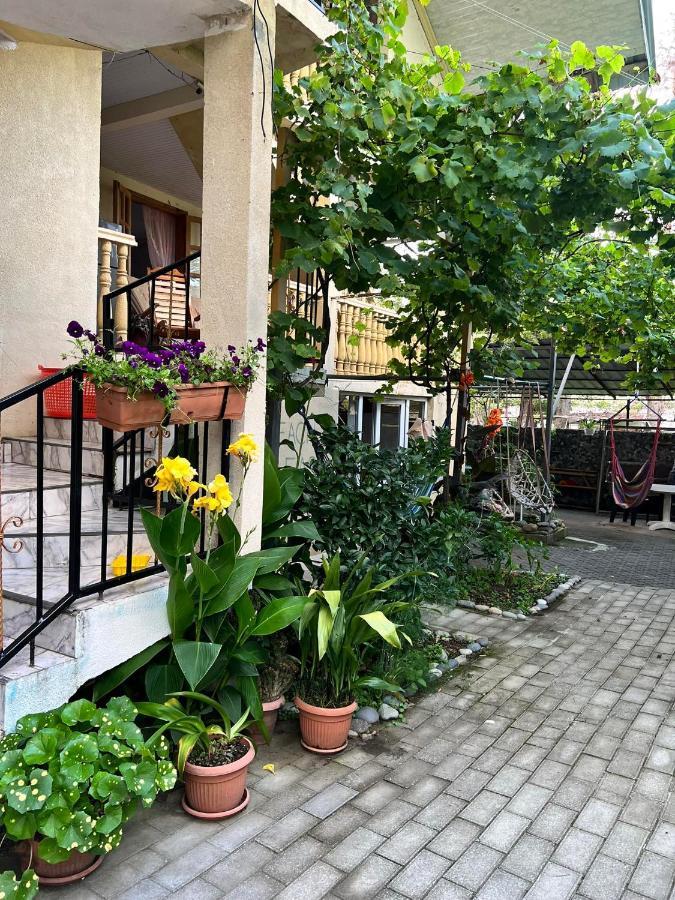 Guest House Mari Ureki Zewnętrze zdjęcie